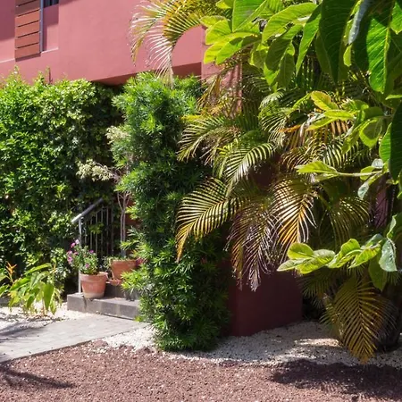 Casa Con Jardin Tropical * Santa Úrsula